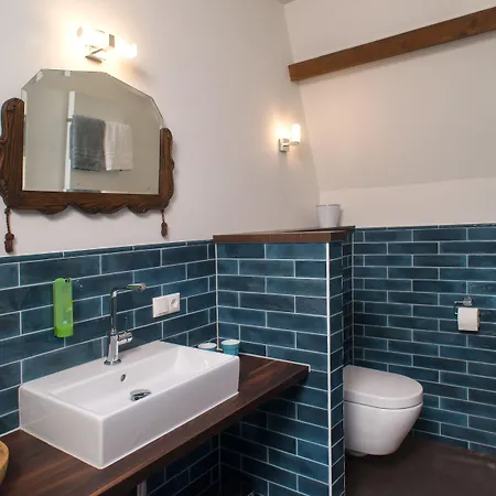 Boutique De Blauwe Pauw 스헤르토헨보스