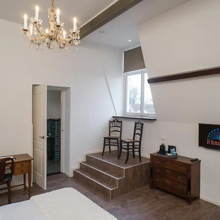 Hotel Boutique De Blauwe Pauw 3*