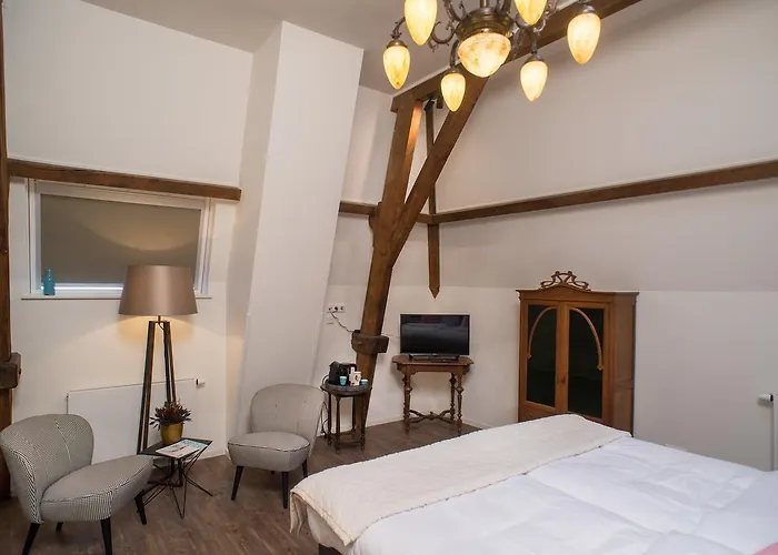 Boutique De Blauwe Pauw 3* 's-Hertogenbosch (Den Bosch)